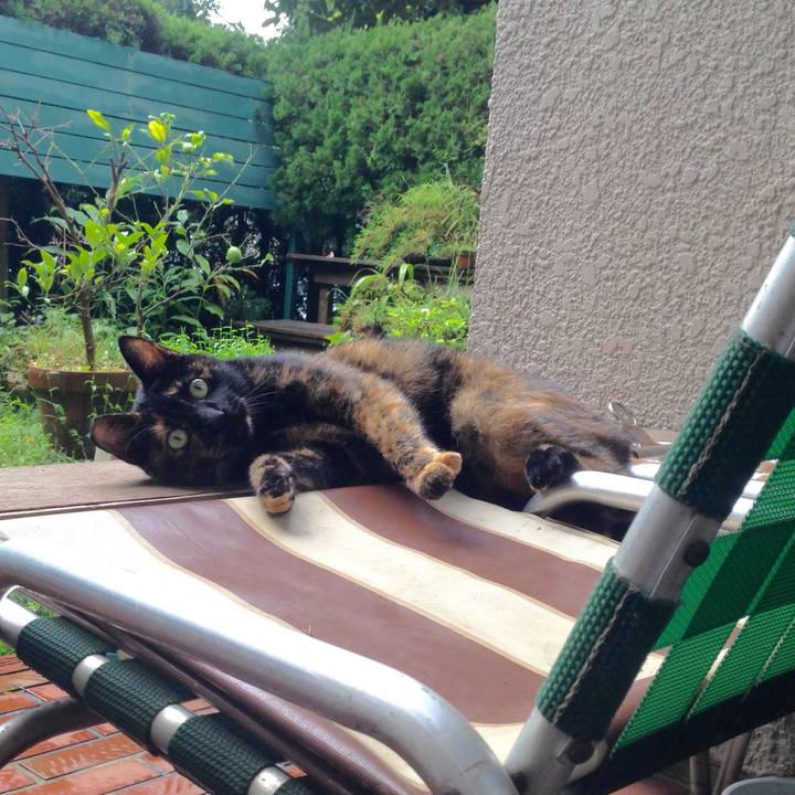 7e01fcf6 b017 47bf 87a7 95cc9278becf