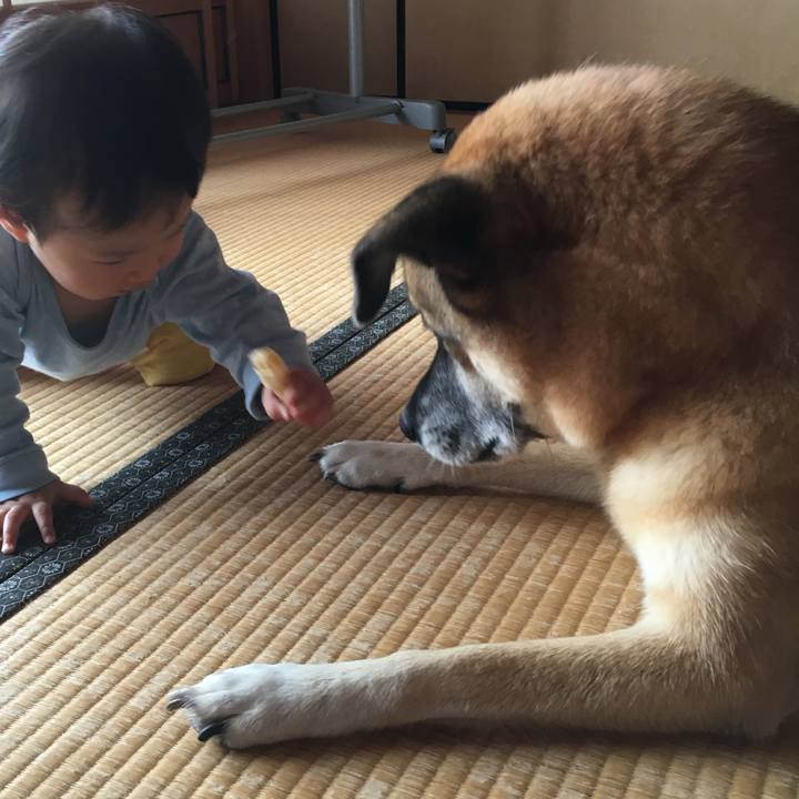 7e020426 d919 45ae 82e5 9928f8b97697