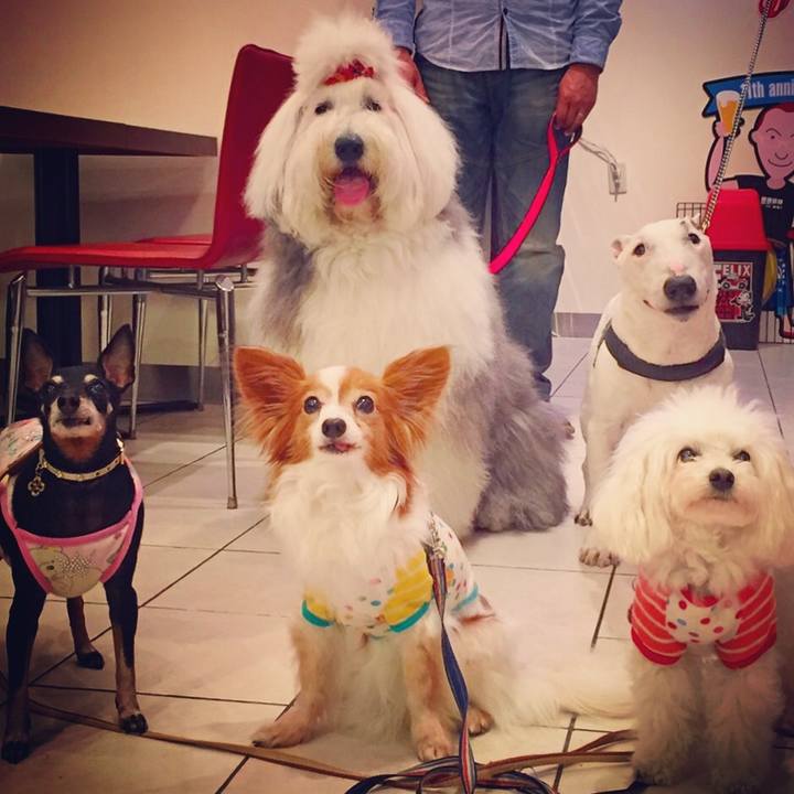 7e021737 d35f 4f00 a3fc 23d96ad35747