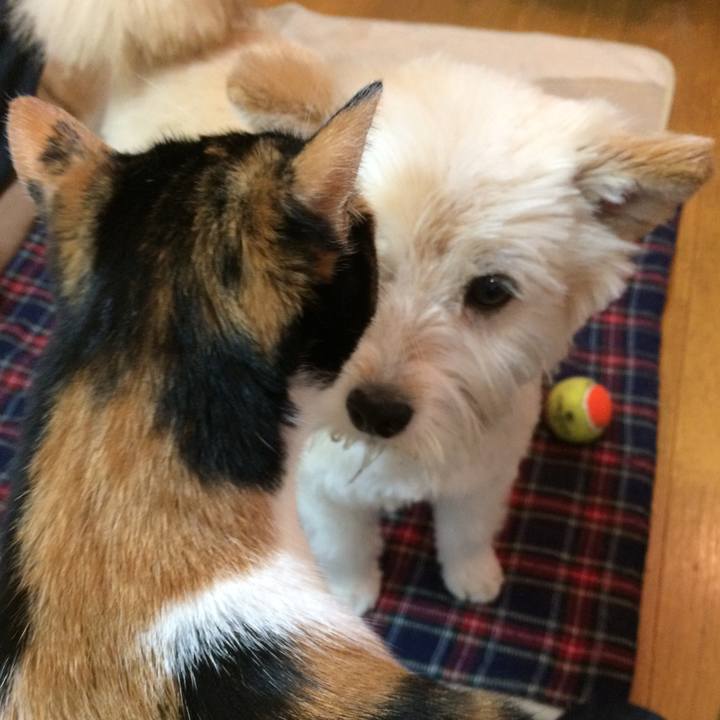 7e02aafc d920 4f7e 808e 027e8069955c