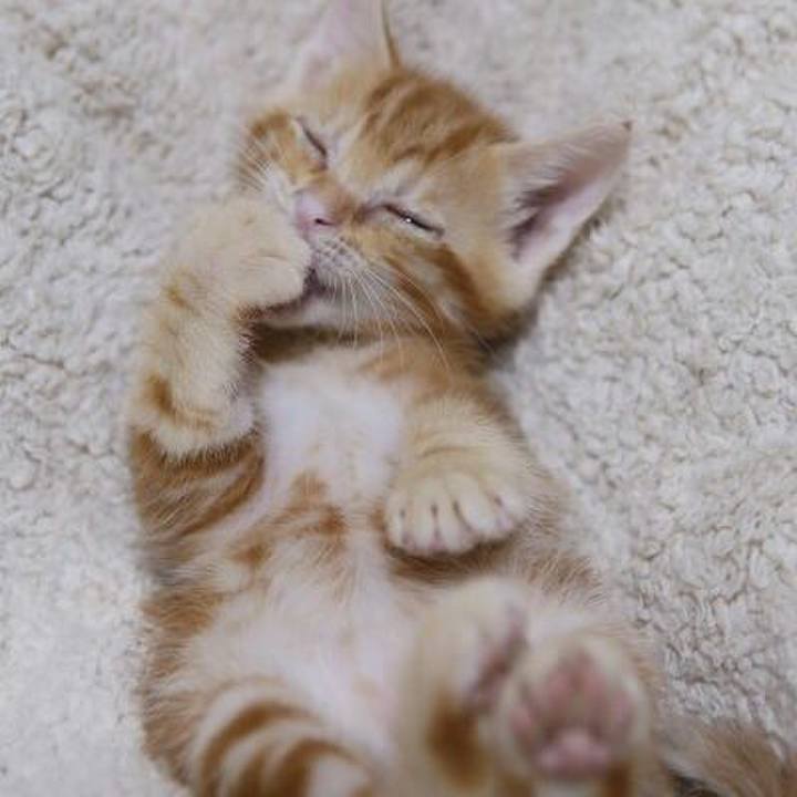 7e02b774 d2dc 40ac 85fc 8996007a257c