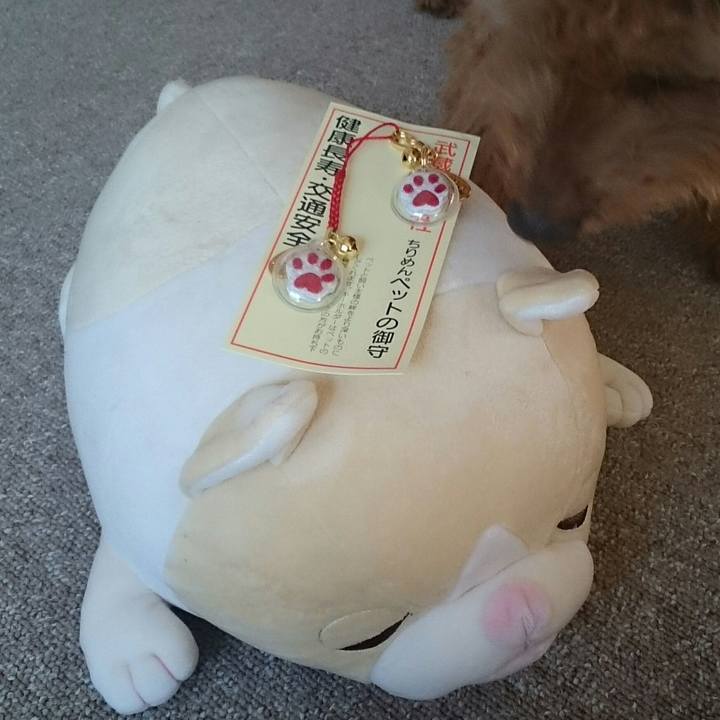 7e02bd42 6513 4d0a ac08 84332af0a1dd