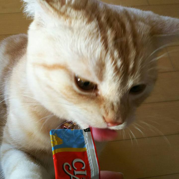 7e0346f7 4421 49a5 b938 146c65f86372