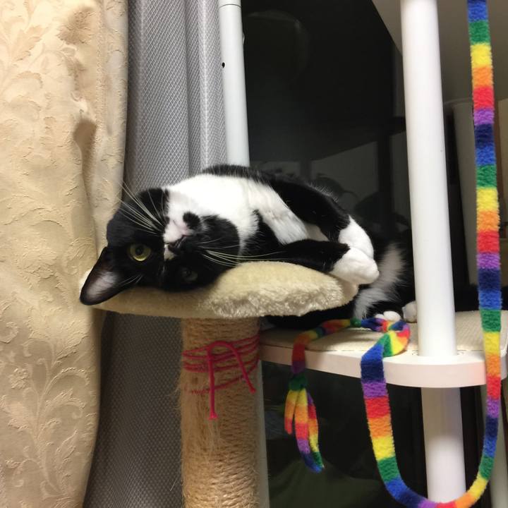 7e043008 8b21 4dfd a919 28b5a09d30a6