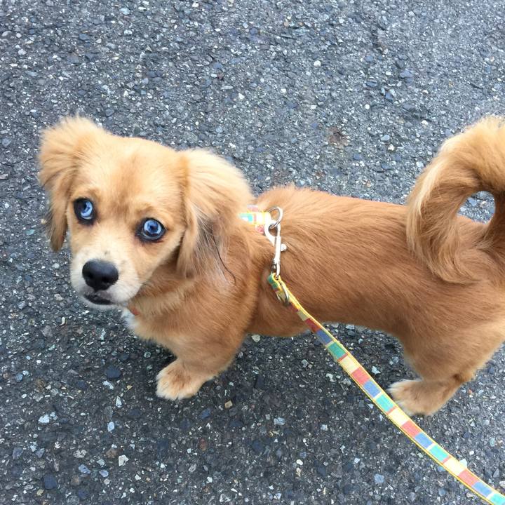 7e048c82 c1ae 4cb1 a80b f28fe0f7e2f7