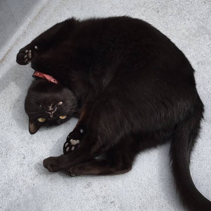 7e05d18d 41d2 452a 8ee6 a256fccf5be6