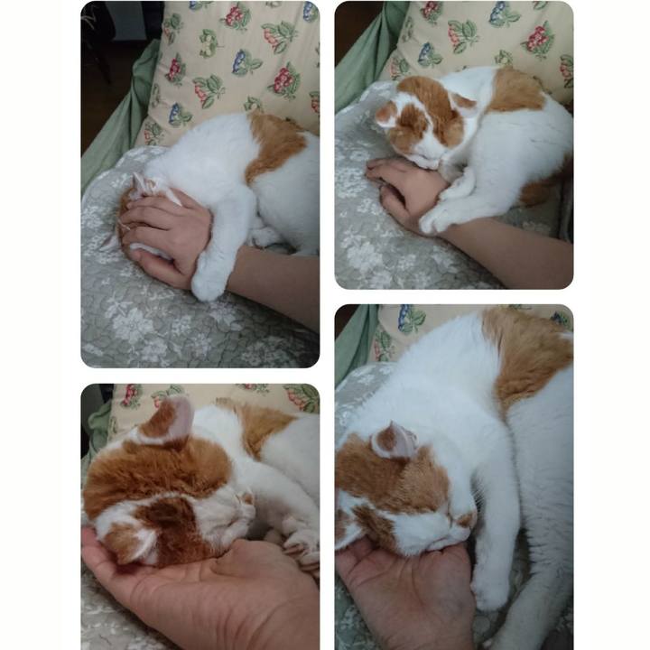 7e05ff20 ca8c 43ec b8c4 a15c9ec2ec7c