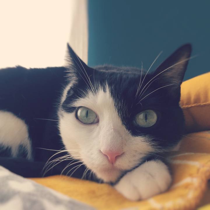 7e0684f2 6085 47e7 8c94 0015400ac2dc