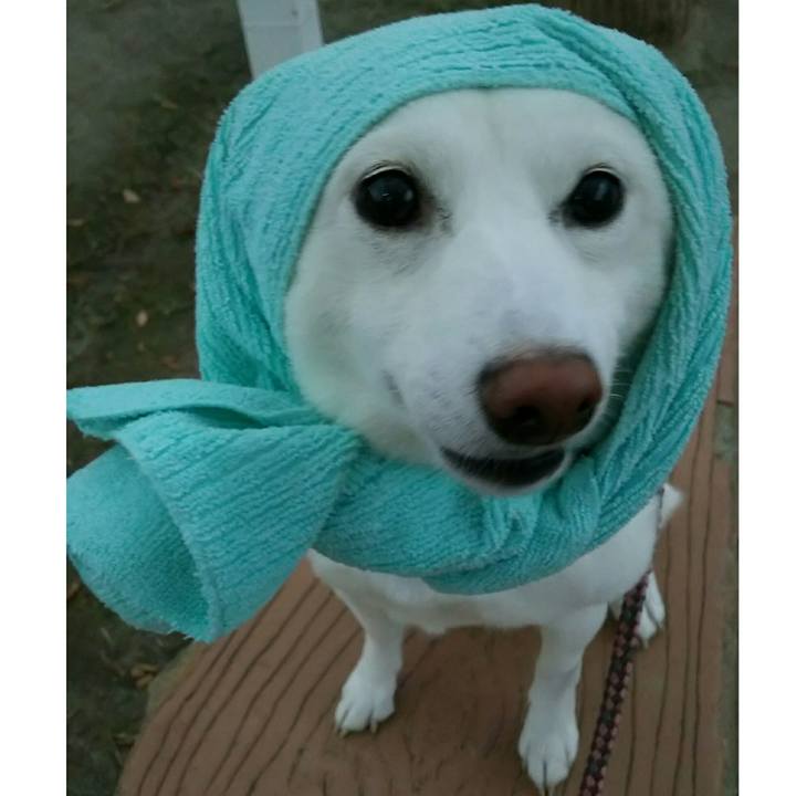 7e06a10f 1e4f 4561 b42b a608ccb2fa11