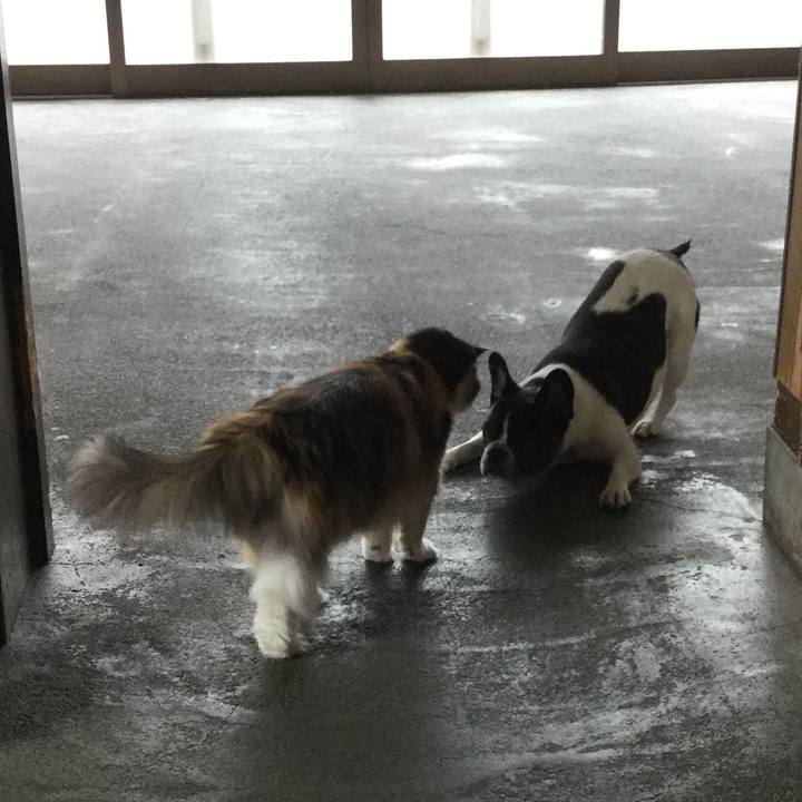 7e074fa9 cd5a 4b67 b2dd cecc9e8a0c8b