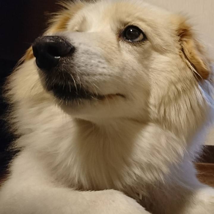 7e079a7d 4d91 40ec a47d d58f4678ed52