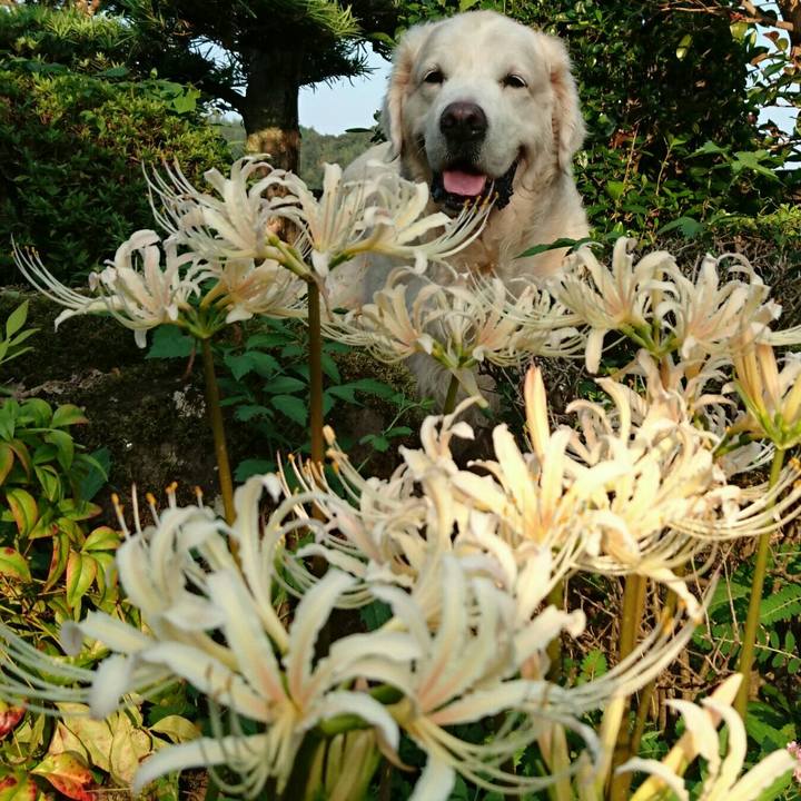 7e07e6f0 6321 438e a9dc 5ca14bb6b0ed