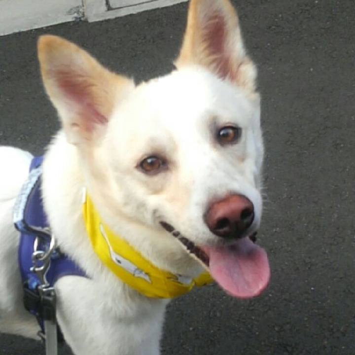 7e08ce53 79be 4874 ac8d 23ffec8cf637