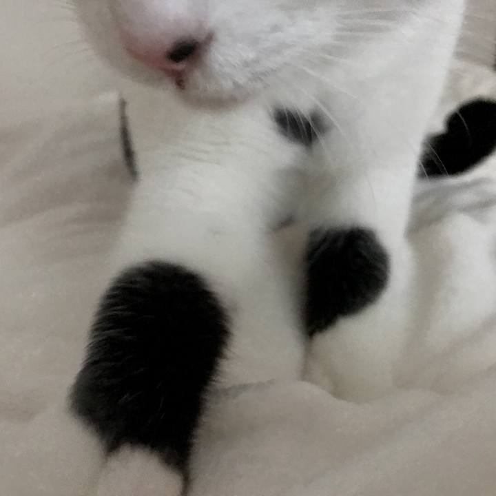 7e09829d e42c 44b3 886d 62d2620a7587