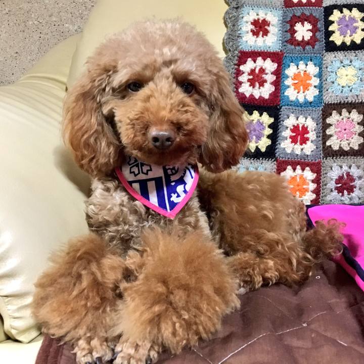 7e09bded 5220 453b bb53 43dc1f99acaf