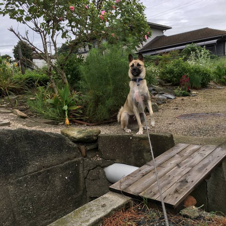 7e09f52e 4326 426a bd8a 3c699d5ed3da