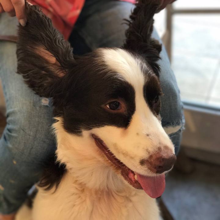 7e09f6a0 74d3 4346 b3c3 cdeb3470b343