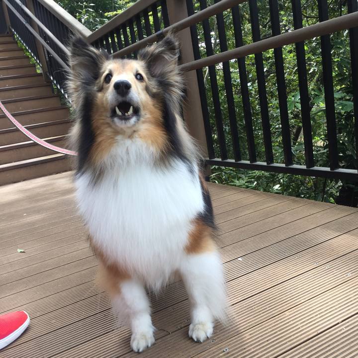 7e0a6a48 47b9 4b42 b835 780056346787