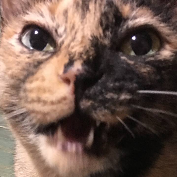 7e0a8860 ba80 43ba b618 c8ab15d1233f