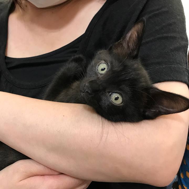 7e0b1aa3 2e03 4c86 a209 93d233507e2e