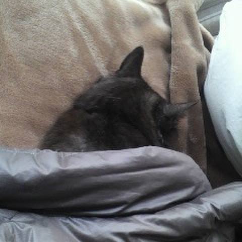 7e0b849e 666d 4470 8a97 db2ae893cf34