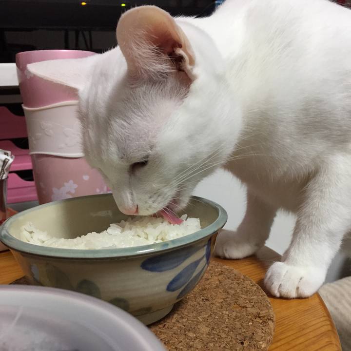 7e0c7064 389b 4770 b844 df3981912788