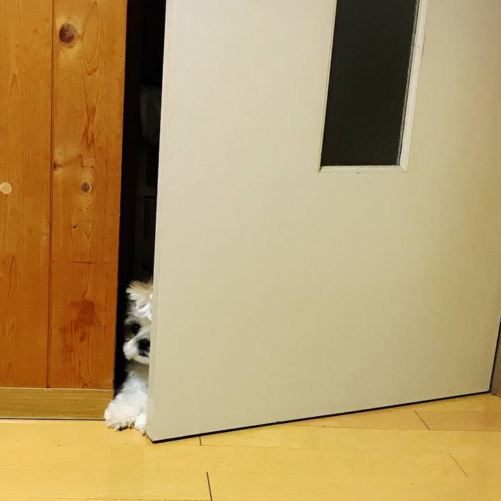 7e0caeb1 f63e 405e a842 42522c0c3234