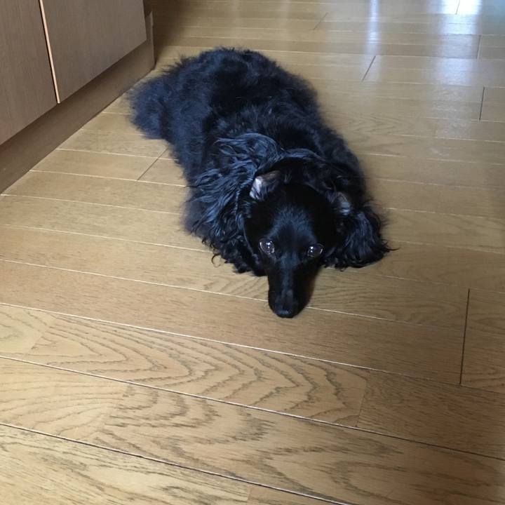 7e0d1814 99f7 44ee b1a2 de8279a622d1