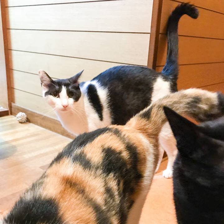 7e0d7b38 dd0d 4976 9e20 92543904f0d1