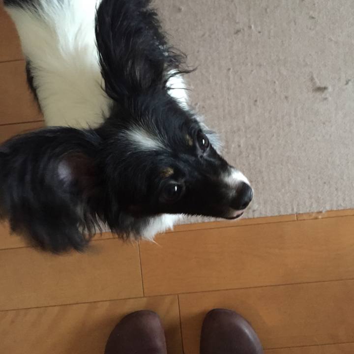 7e0dce2b 24ca 4da8 9966 3bcdddf3577e