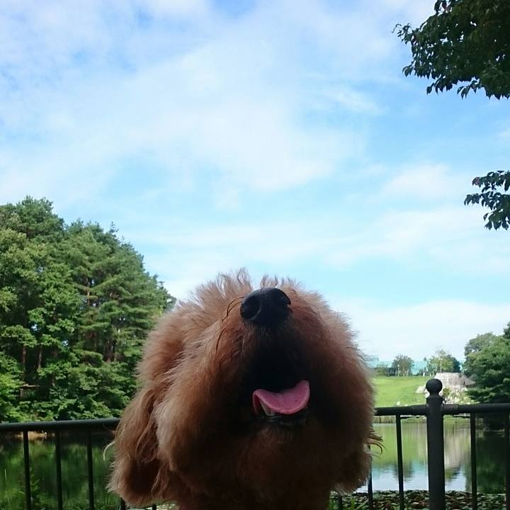 7e0e66ba 2fbb 4f91 8282 0434de99d3ee