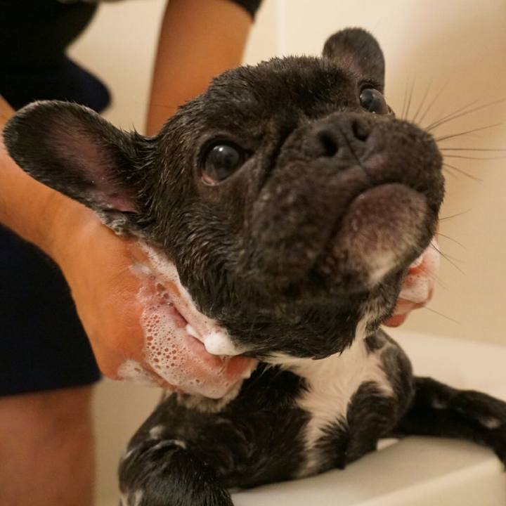 7e0eabae 6dce 46a7 85e3 98fb12ae682a