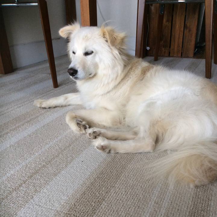 7e0ef31f 228a 4768 b47a 42fe62c251be