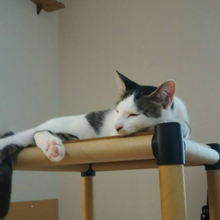 7e0f647d 8da5 4c29 ac5b 03f96f586f09