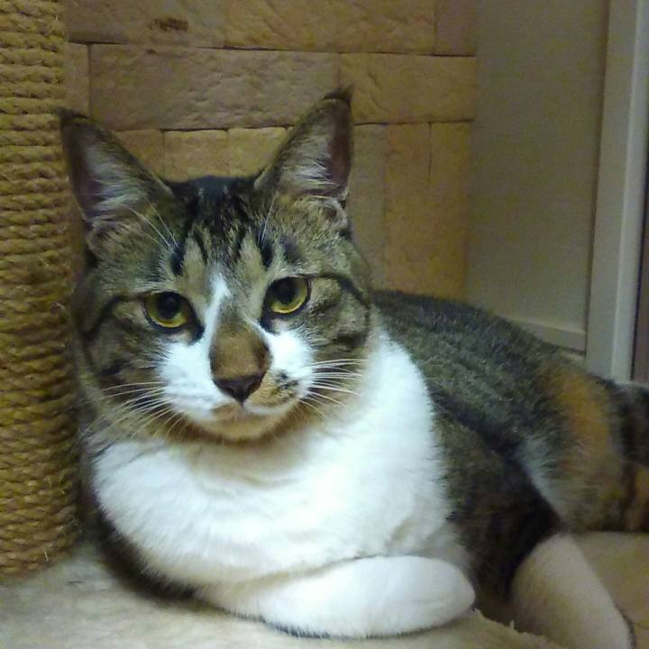 7e0f762c 180b 4320 8848 0868be0f1106