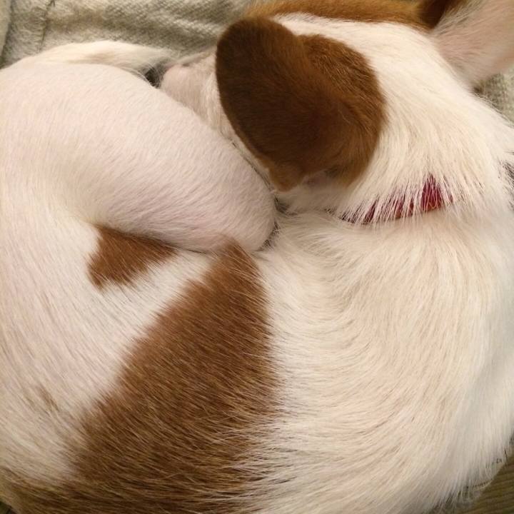 7e0f9c14 6e74 4d8e 88bd 03787df93d0a