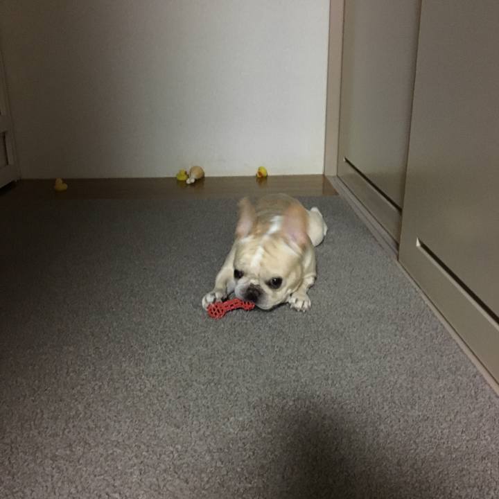 7e0fe284 42d4 472d b3db f2f7df83ca0f