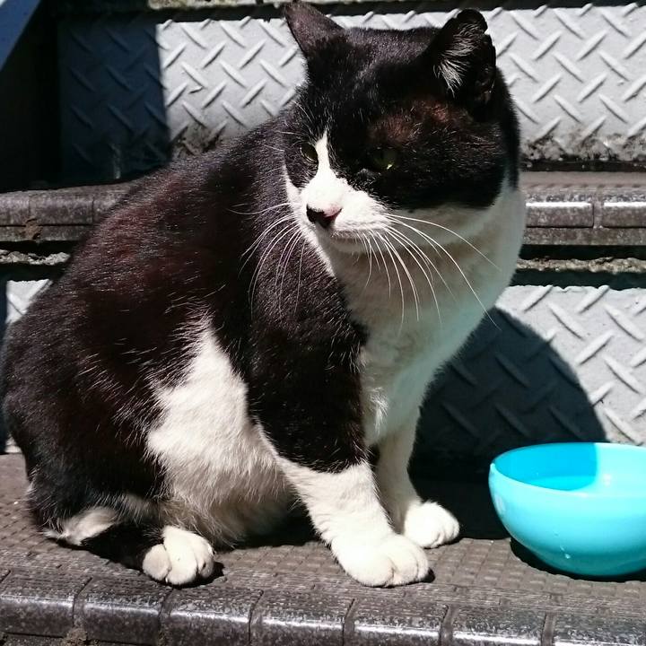 7e0ffd8c c9f7 4342 92b5 1c4814e12818