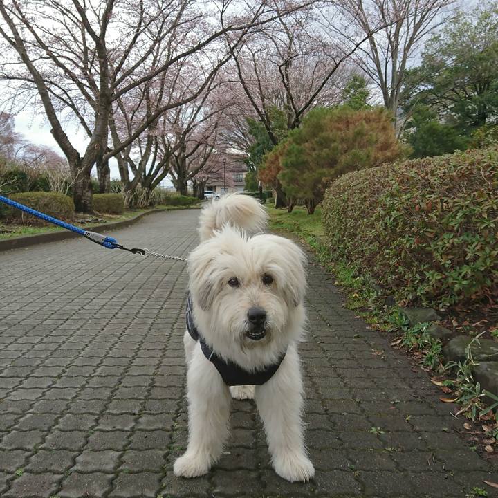 7e1117a0 1e5f 4da4 9c2a 41bc9e34157b