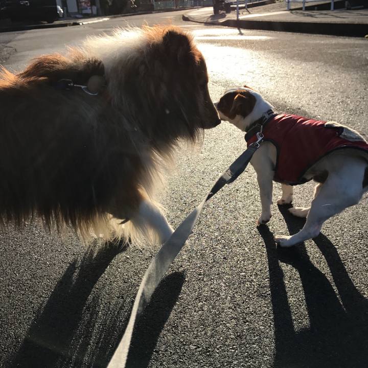 7e119c23 9ae5 4a77 bd08 4634c44408ac