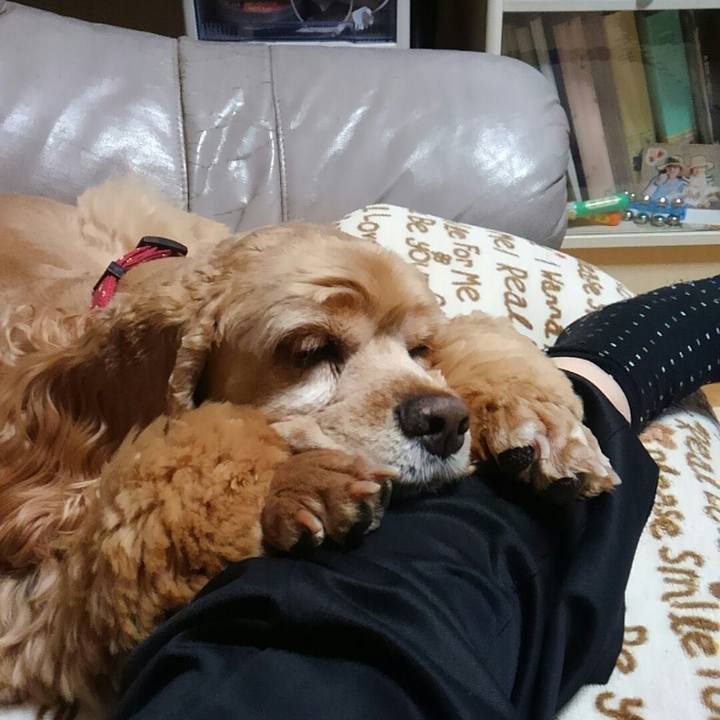 7e11f569 2314 4845 9c3f fc3511360f29