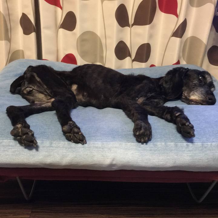 7e129694 1cdd 45e6 ba5f da03b4aacb6f