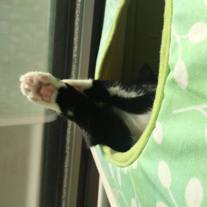 7e12f033 908b 4cba 918f db8212a7bf27