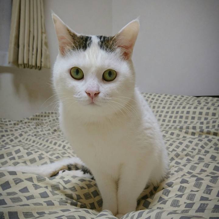 7e130428 c75e 4f60 b710 9034cfa0d848