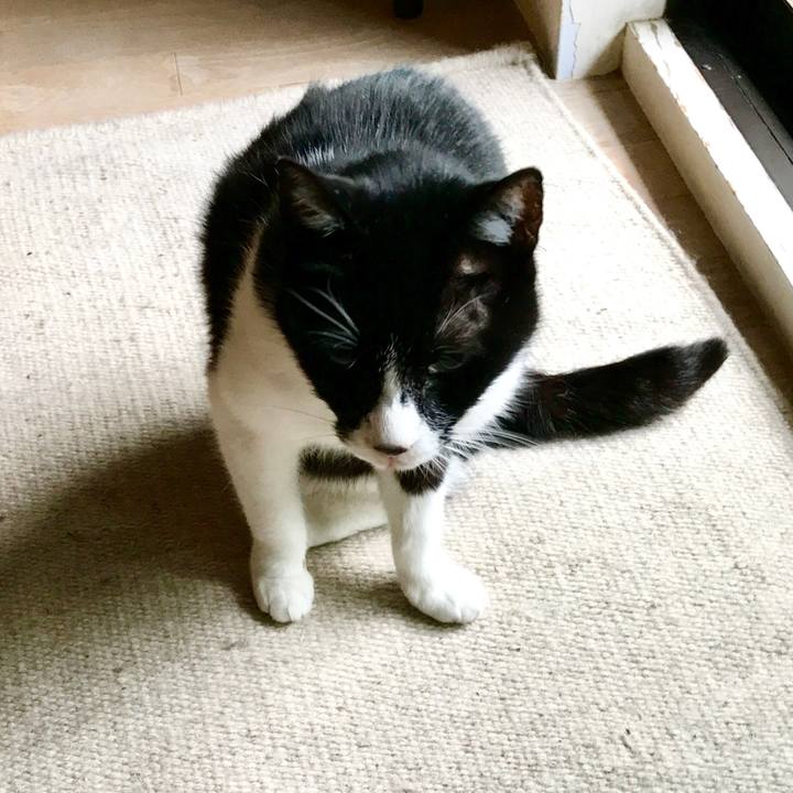 7e1393cb 4d7b 4357 ba2f 6dea3db40d33