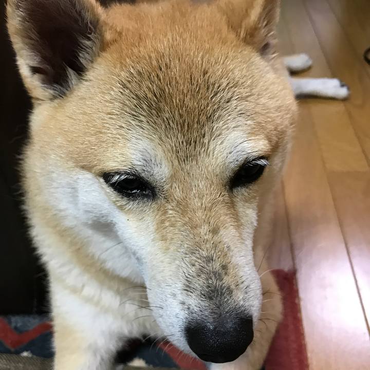 7e13c201 a7c7 4416 b95f c7caab265755