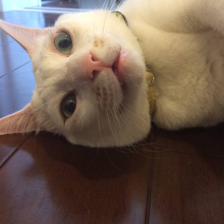 7e1406a5 3492 4c59 8164 7e3df4e25c68