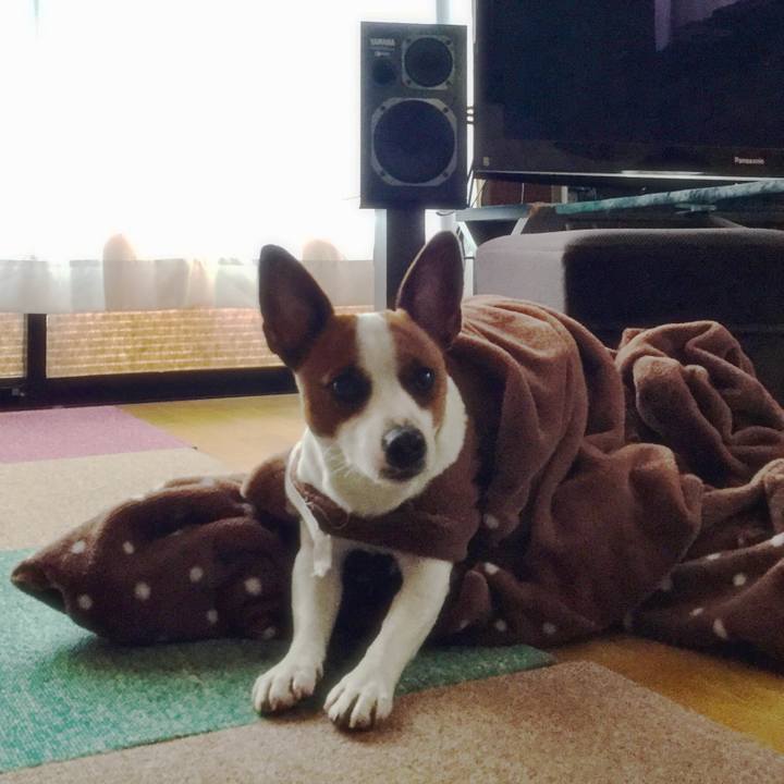 7e145a9b 42c3 4ff6 9a43 d866c951e778