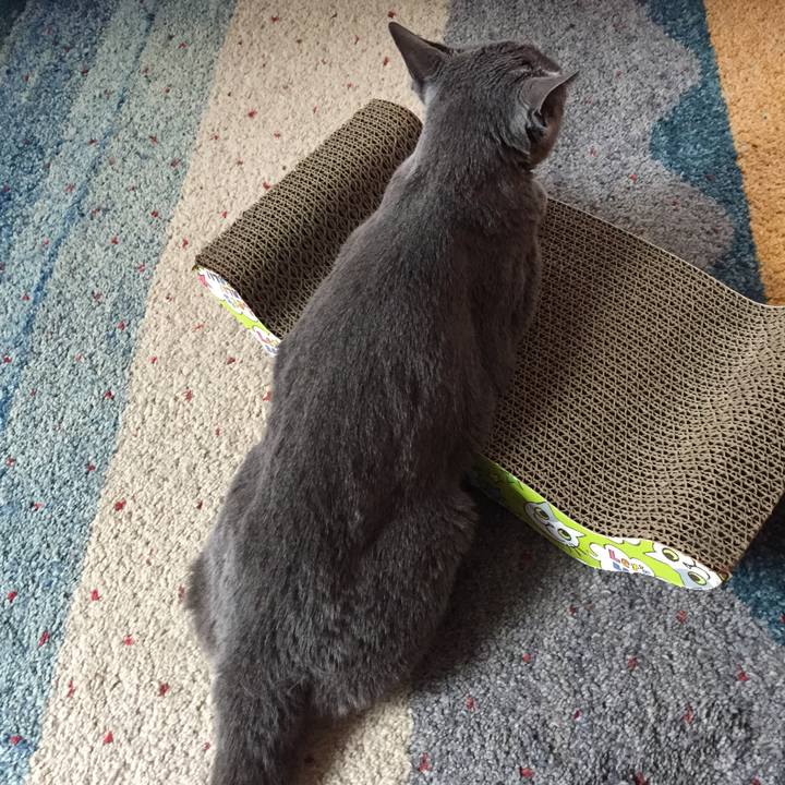 7e145b4b 47cf 403a 84d4 7c23dbde1727