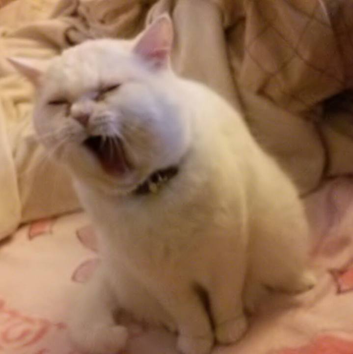 7e14e07a c75f 4364 b01c 2b46eaae90c1